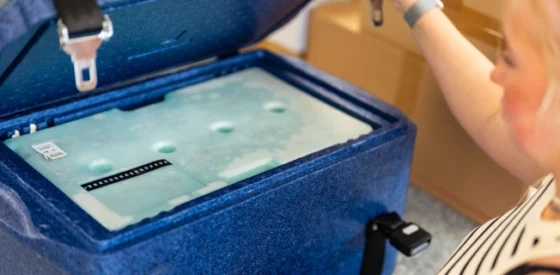 Temperaturgeführte Transporte